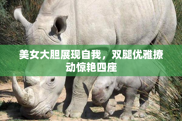 美女大胆展现自我，双腿优雅撩动惊艳四座