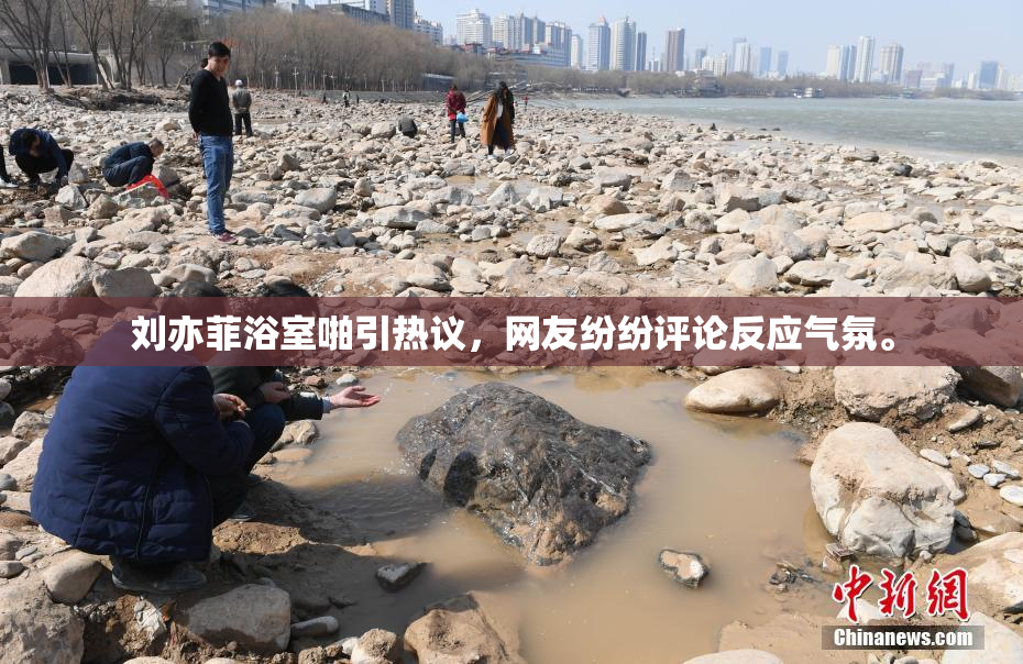 刘亦菲浴室啪引热议，网友纷纷评论反应气氛。
