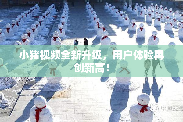 小猪视频全新升级，用户体验再创新高！