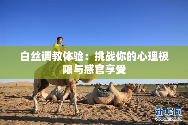 白丝调教体验：挑战你的心理极限与感官享受