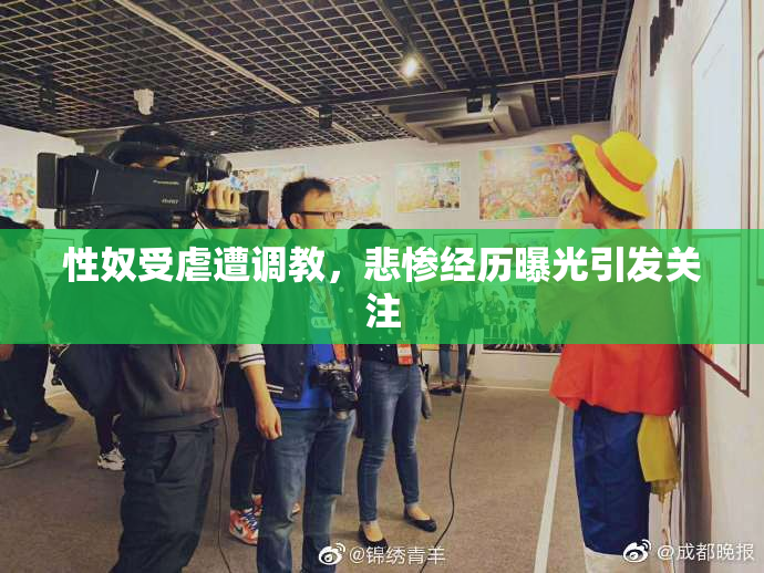 性奴受虐遭调教，悲惨经历曝光引发关注