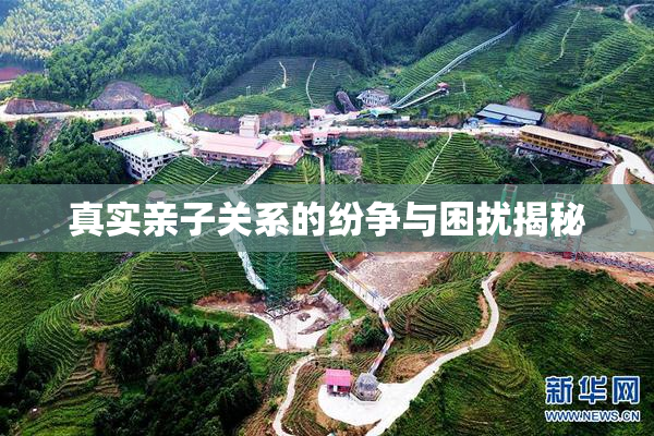真实亲子关系的纷争与困扰揭秘