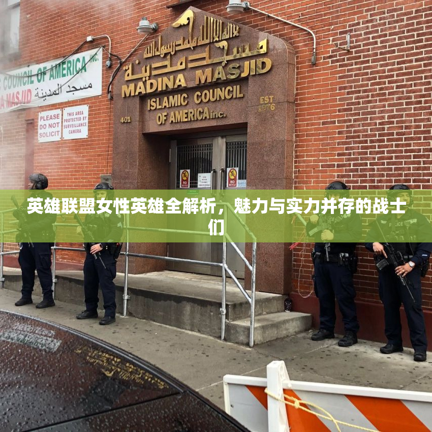 英雄联盟女性英雄全解析，魅力与实力并存的战士们
