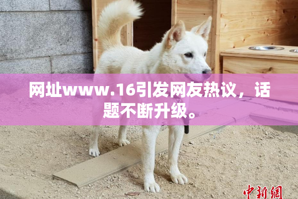 网址www.16引发网友热议，话题不断升级。