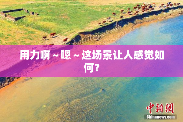 用力啊～嗯～这场景让人感觉如何？