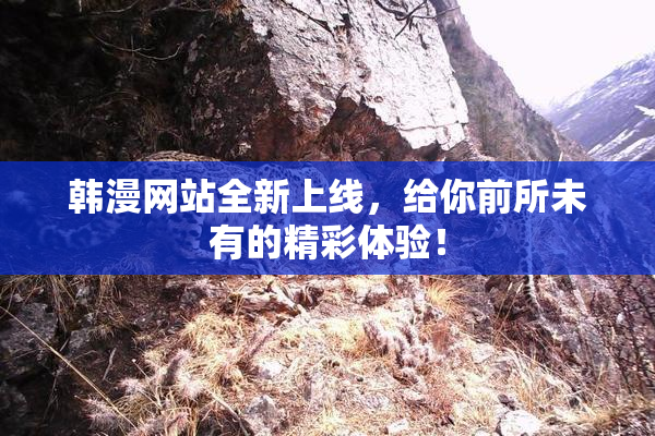 韩漫网站全新上线，给你前所未有的精彩体验！