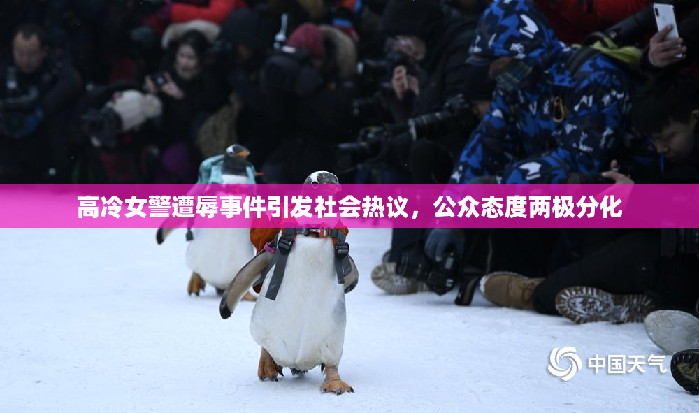 高冷女警遭辱事件引发社会热议，公众态度两极分化