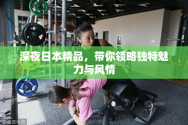 深夜日本精品，带你领略独特魅力与风情