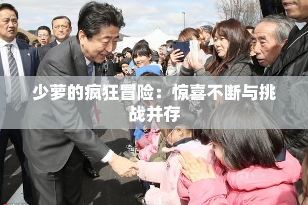 少萝的疯狂冒险：惊喜不断与挑战并存
