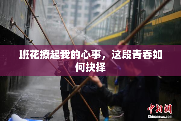 班花撩起我的心事，这段青春如何抉择