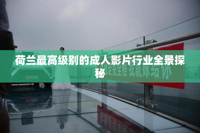 荷兰最高级别的成人影片行业全景探秘
