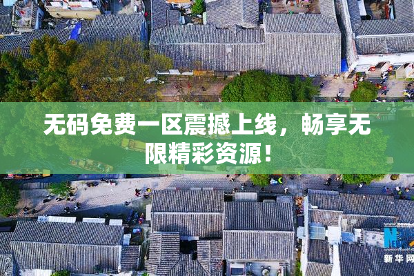 无码免费一区震撼上线，畅享无限精彩资源！
