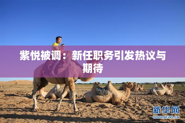 紫悦被调：新任职务引发热议与期待