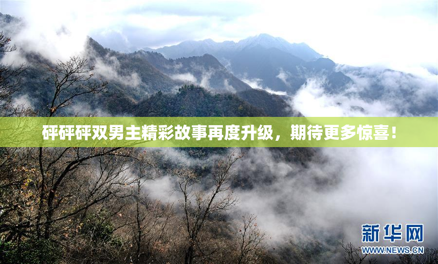 砰砰砰双男主精彩故事再度升级，期待更多惊喜！