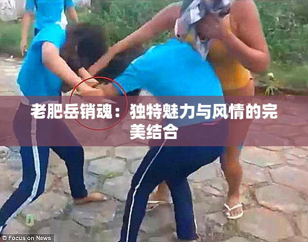 老肥岳销魂：独特魅力与风情的完美结合