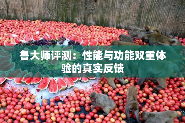 鲁大师评测：性能与功能双重体验的真实反馈