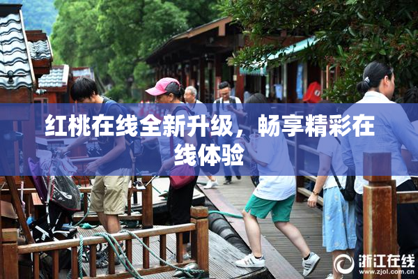 红桃在线全新升级，畅享精彩在线体验