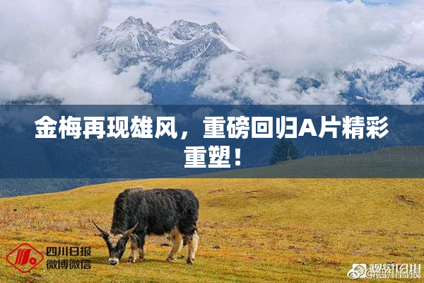 金梅再现雄风，重磅回归A片精彩重塑！