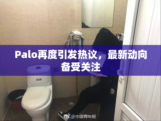 Palo再度引发热议，最新动向备受关注