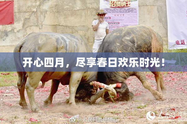 开心四月，尽享春日欢乐时光！
