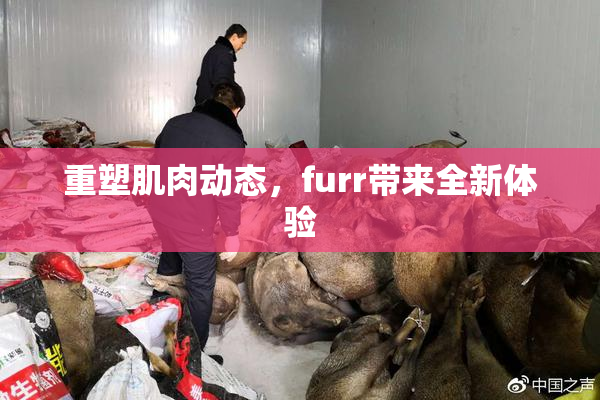 重塑肌肉动态，furr带来全新体验