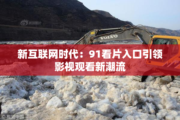 新互联网时代：91看片入口引领影视观看新潮流