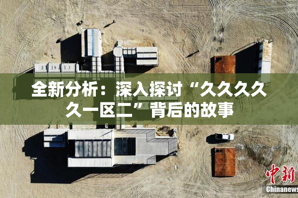 全新分析：深入探讨“久久久久久一区二”背后的故事