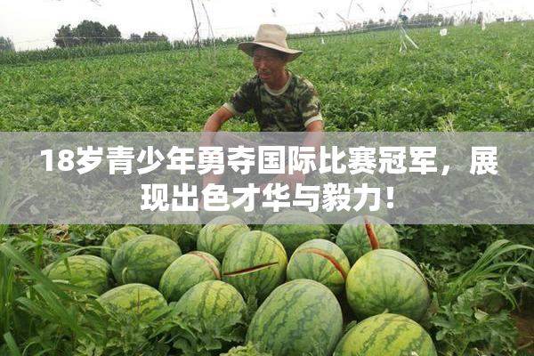 18岁青少年勇夺国际比赛冠军，展现出色才华与毅力！
