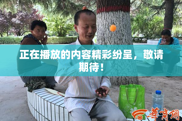正在播放的内容精彩纷呈，敬请期待！