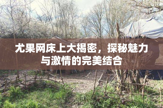 尤果网床上大揭密，探秘魅力与激情的完美结合