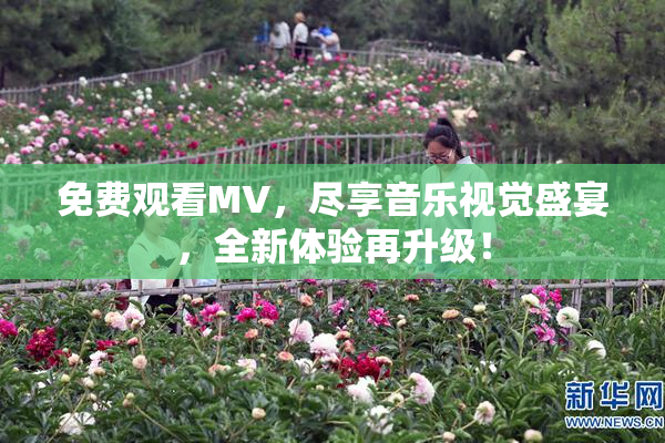 免费观看MV，尽享音乐视觉盛宴，全新体验再升级！