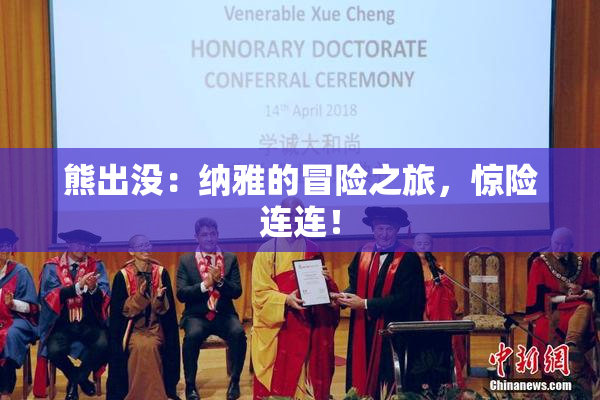 熊出没：纳雅的冒险之旅，惊险连连！