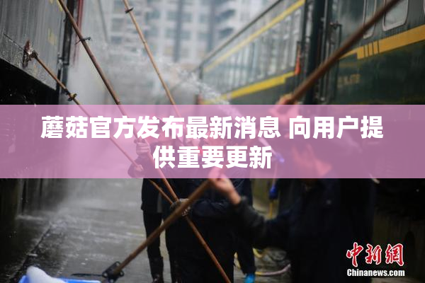 蘑菇官方发布最新消息 向用户提供重要更新