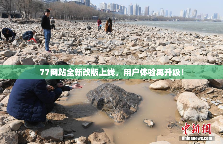 77网站全新改版上线，用户体验再升级！