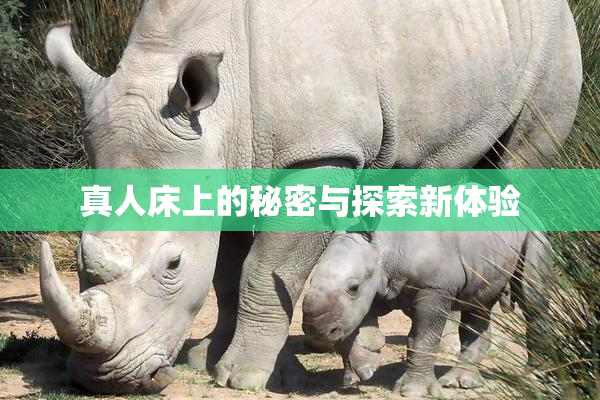 真人床上的秘密与探索新体验