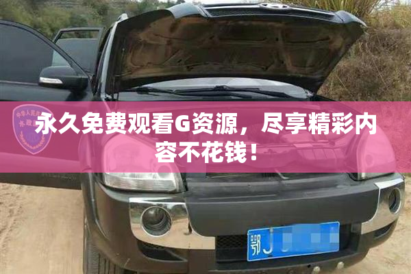 永久免费观看G资源，尽享精彩内容不花钱！