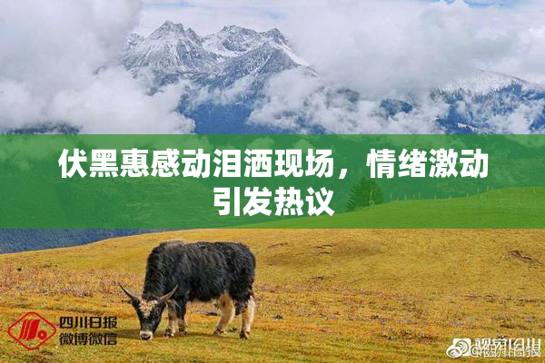 伏黑惠感动泪洒现场，情绪激动引发热议