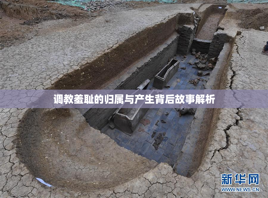 调教羞耻的归属与产生背后故事解析