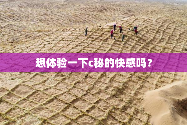 想体验一下c秘的快感吗？