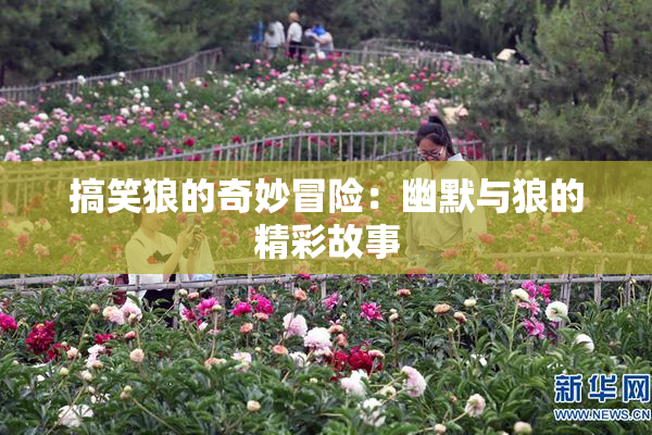 搞笑狼的奇妙冒险：幽默与狼的精彩故事