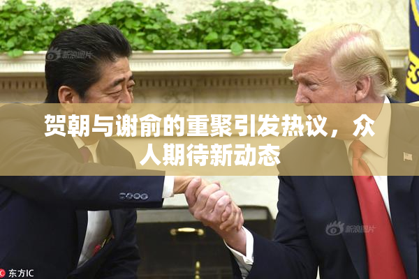 贺朝与谢俞的重聚引发热议，众人期待新动态