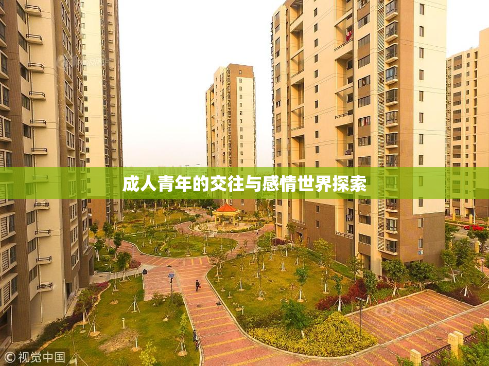 成人青年的交往与感情世界探索