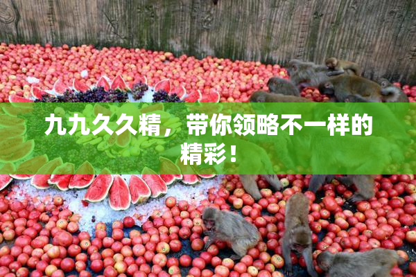 九九久久精，带你领略不一样的精彩！