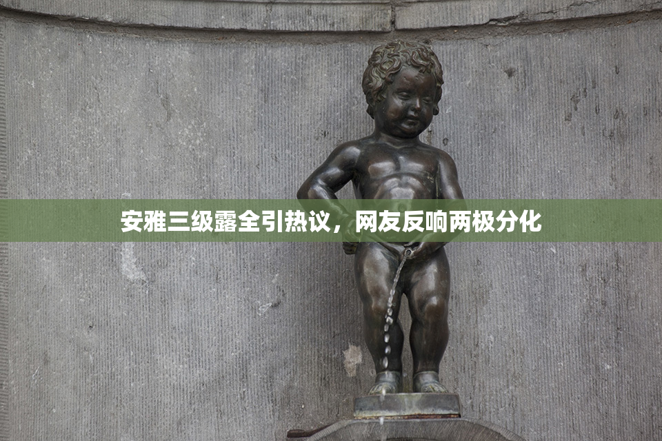 安雅三级露全引热议，网友反响两极分化