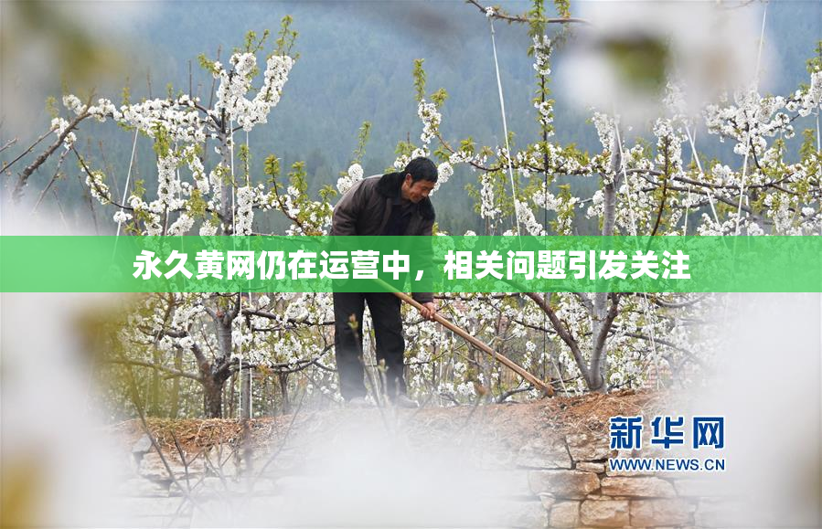 永久黄网仍在运营中，相关问题引发关注