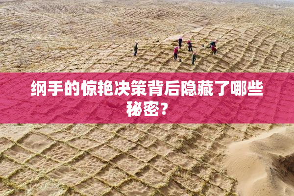 纲手的惊艳决策背后隐藏了哪些秘密？