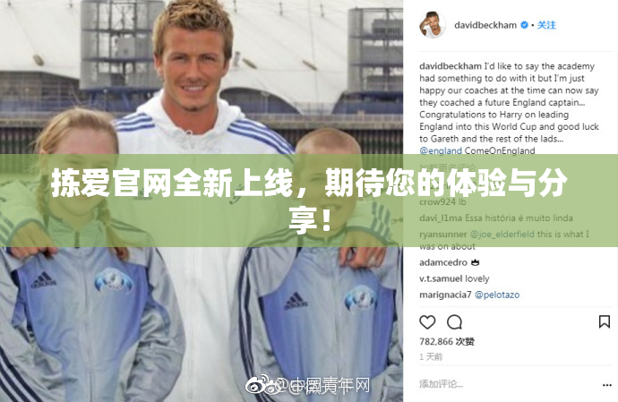 拣爱官网全新上线，期待您的体验与分享！