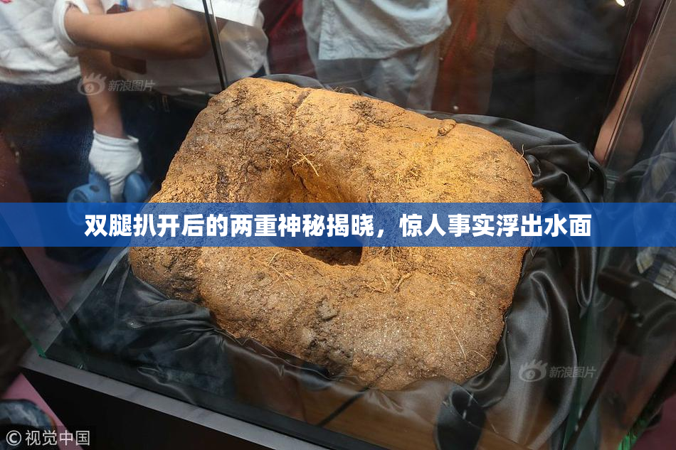 双腿扒开后的两重神秘揭晓，惊人事实浮出水面