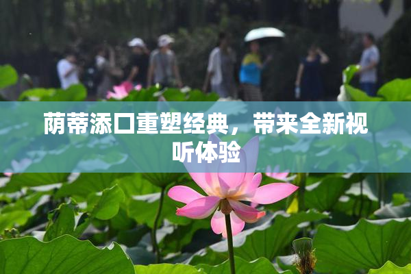 荫蒂添囗重塑经典，带来全新视听体验