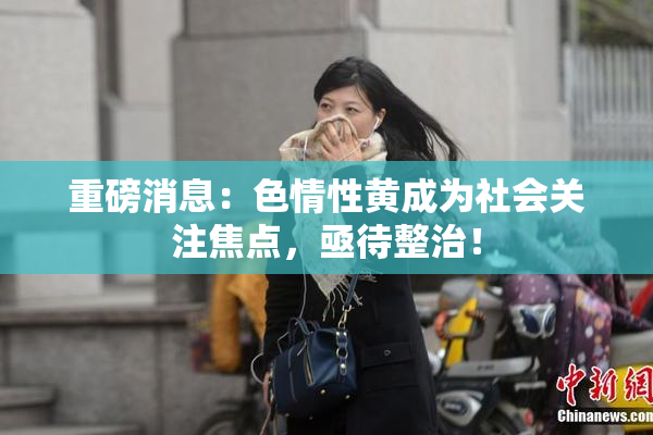 重磅消息：色情性黄成为社会关注焦点，亟待整治！